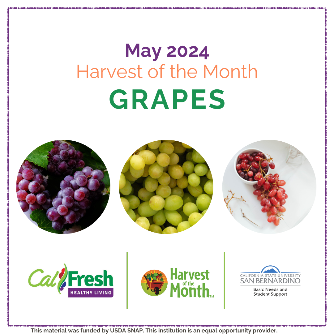 May2024 Harvest of the Month Grapes