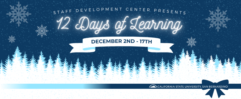 12 Days of Learning