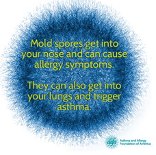 Mold spores get into your nose and can cause allergy symptoms.  They can also get into your lungs and trigger asthma.
