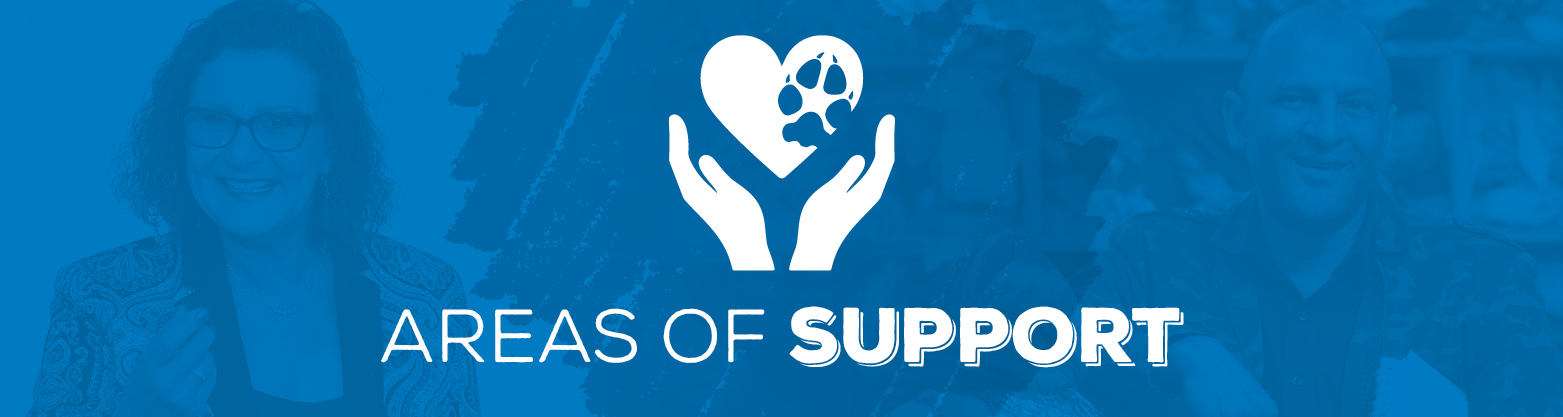 Areas of support graphic