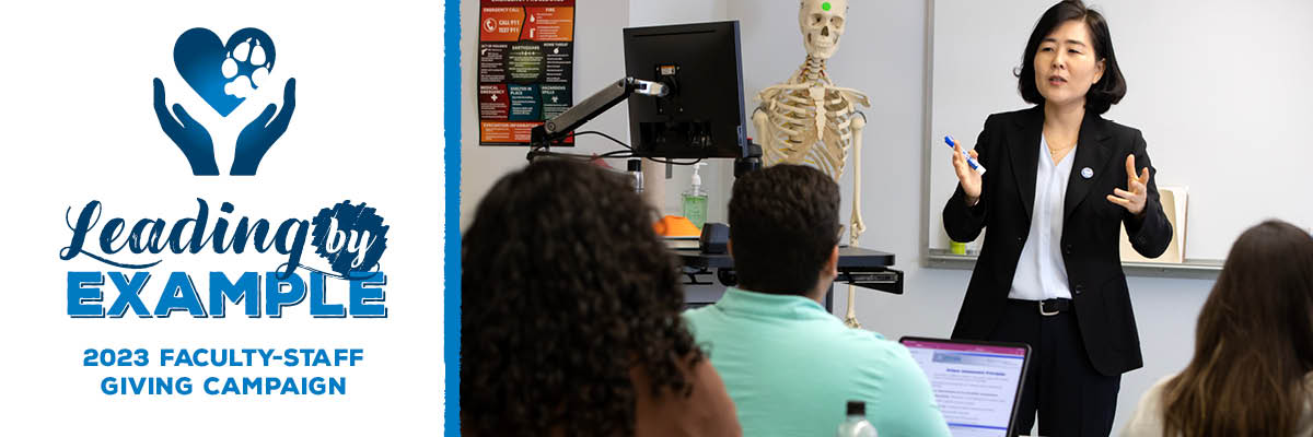 Faculty-staff campaign header