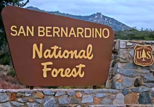 National Forest Sign