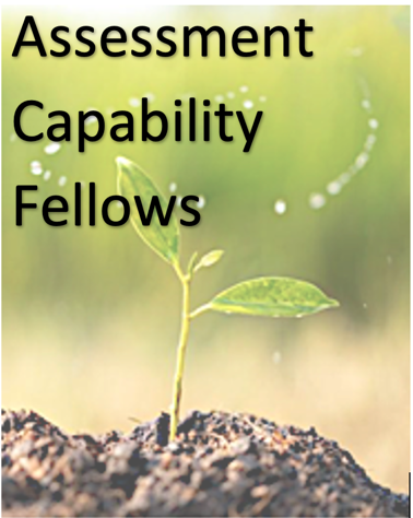 Assessment Capability Fellows logo