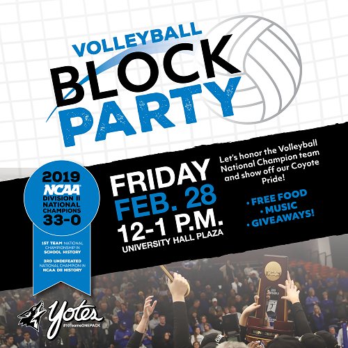 Volleyball Block Party Flyer