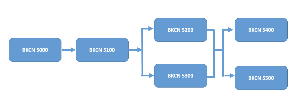 BCKN Roadmap
