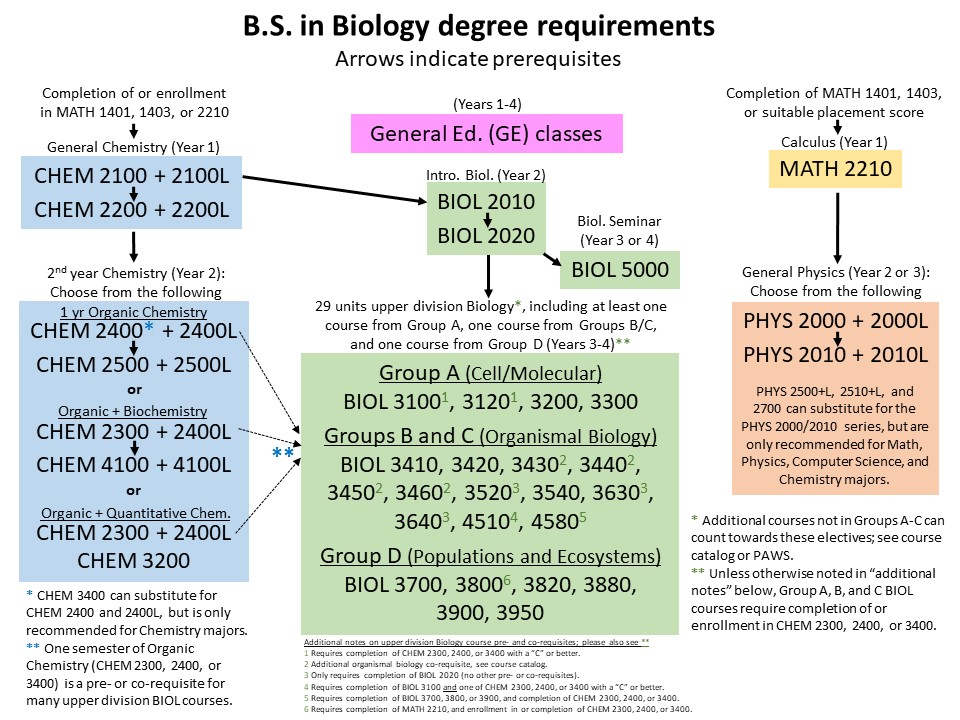 BIOL-BS degree flowchart