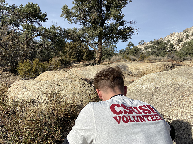CSUSB student collecting seeds for So Cal Mountains Foundation.