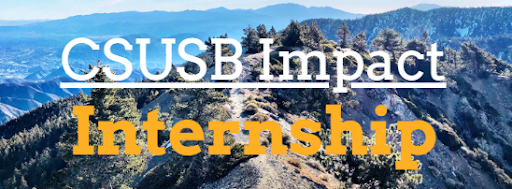 CSUSB Impact Internship