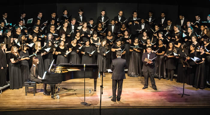 Concert choir performance