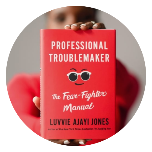 Professional Troublemaker Book Cover