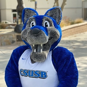 Cody the Coyote mascot headshot 