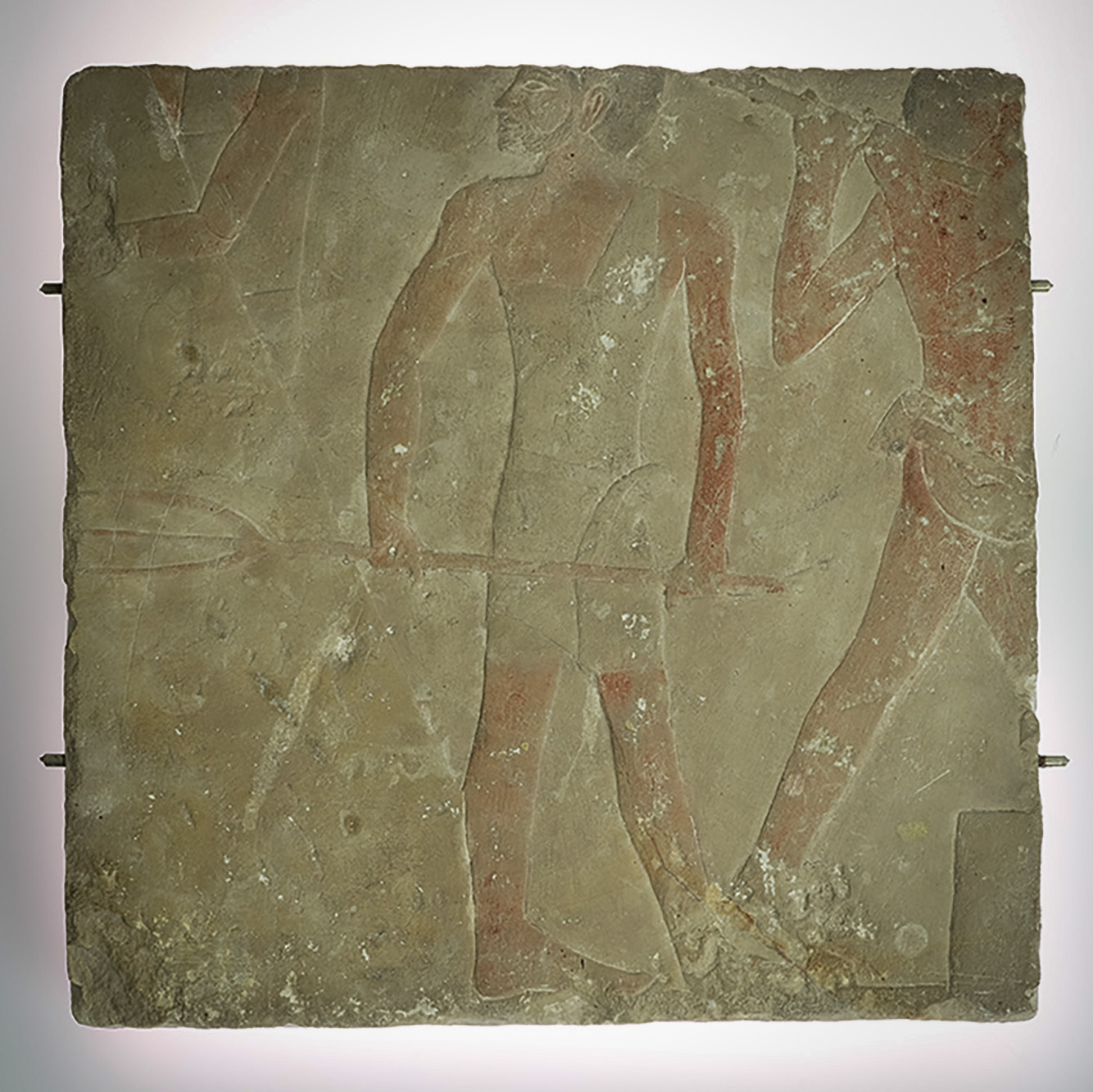 Relief Fragment of an Agricultural Scene, ca. 2494 - 2181 BC