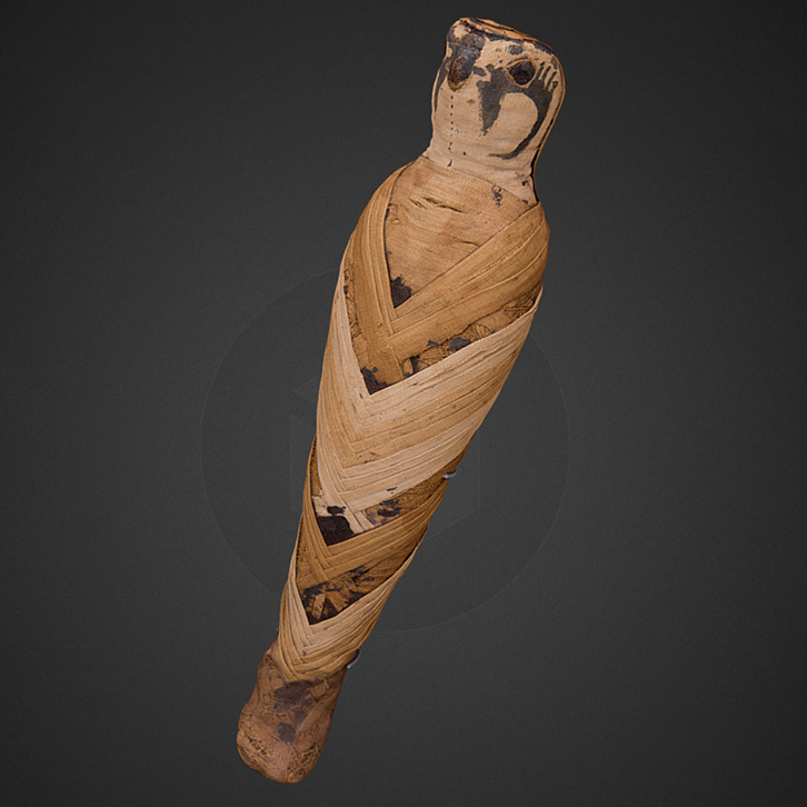 Hawk Mummy, 304 - 30 BC