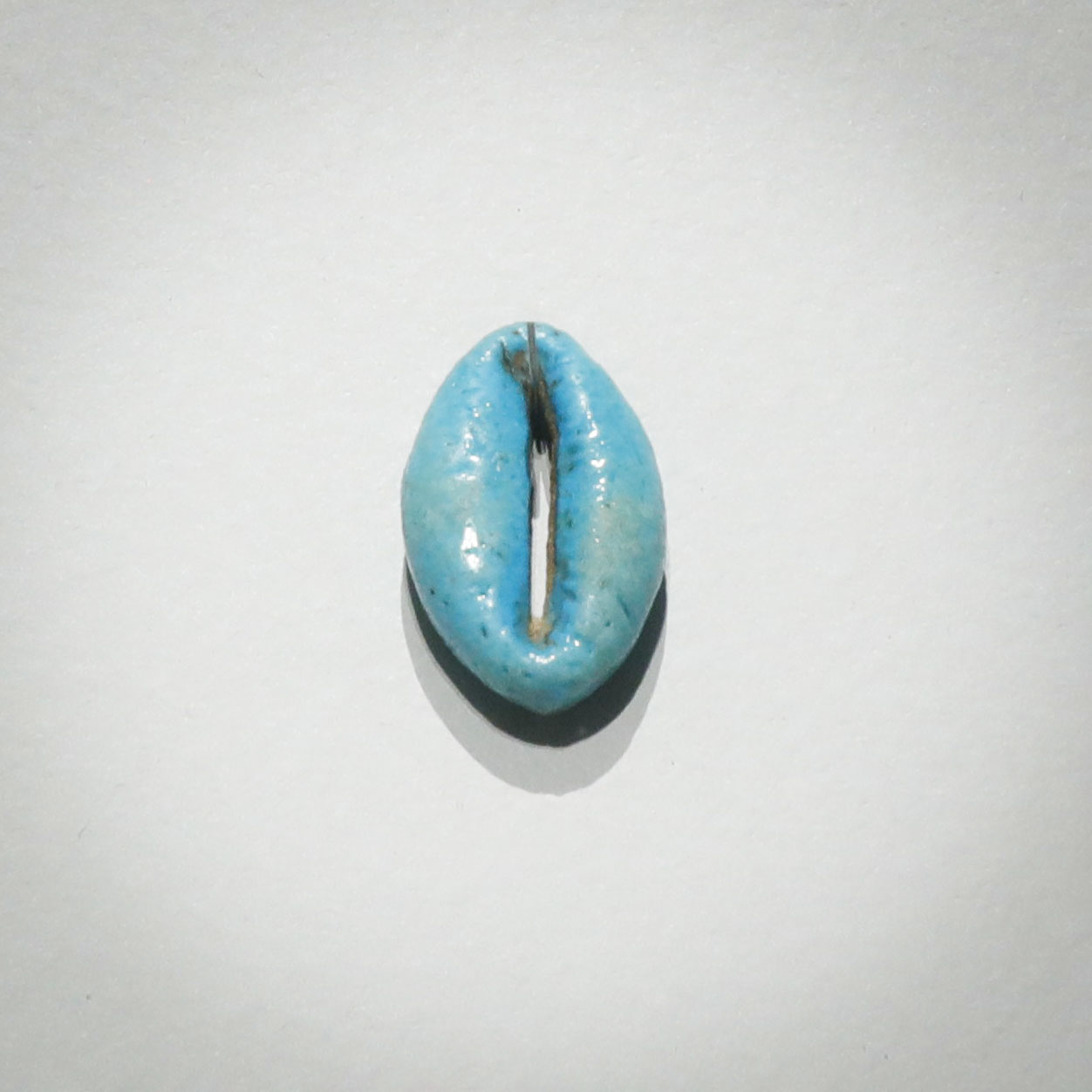 Cowrie Shell Amulet 