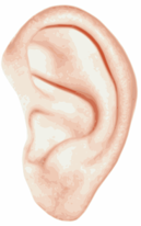 Ear to Listen