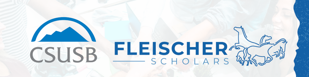Fleischer Scholars Program