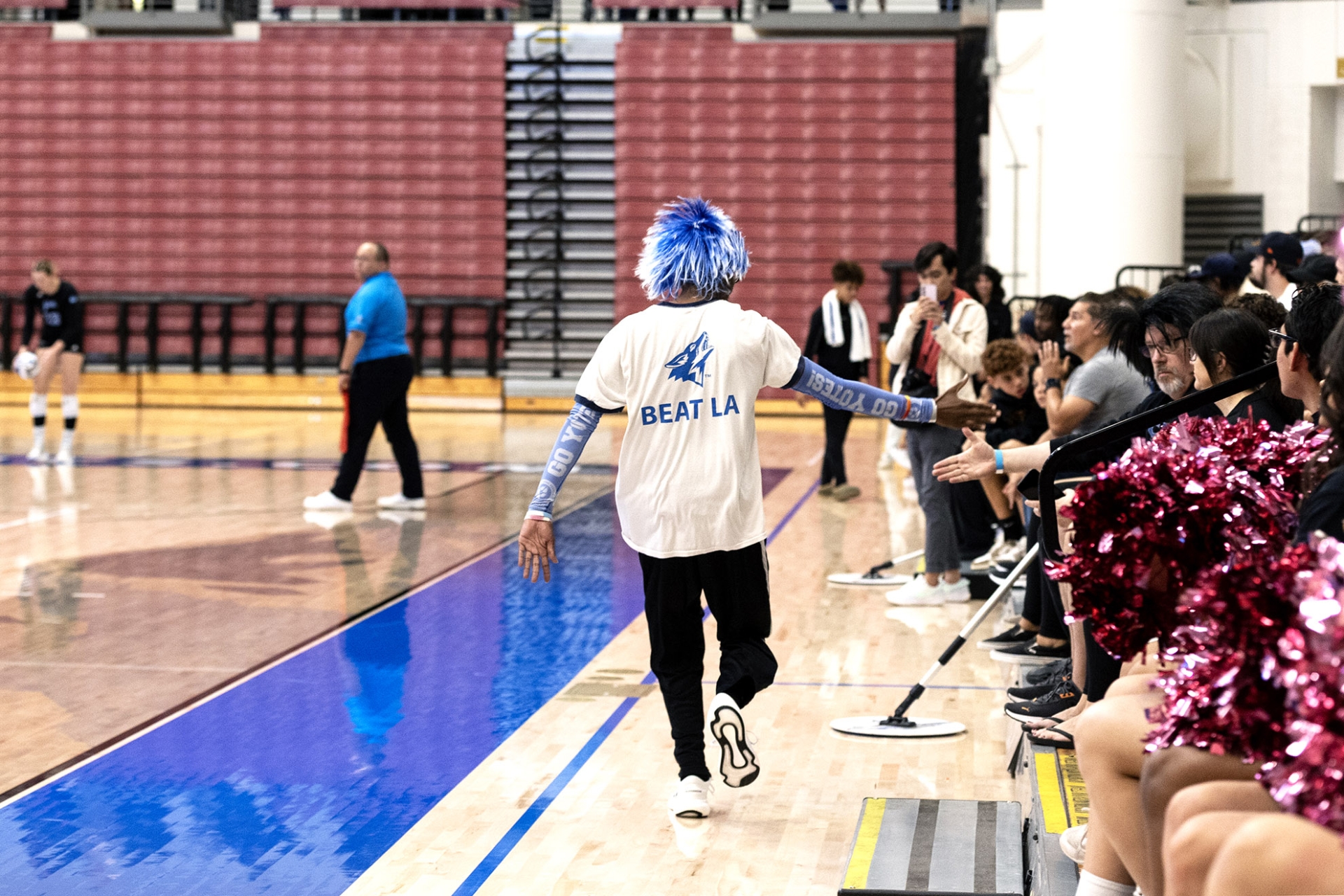 A person dressed up in CSUSB gear at the volleyball game