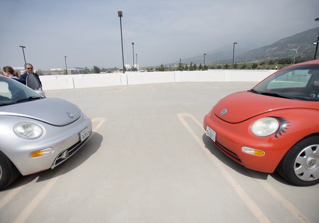 Photo of VW Beetles squaring off.