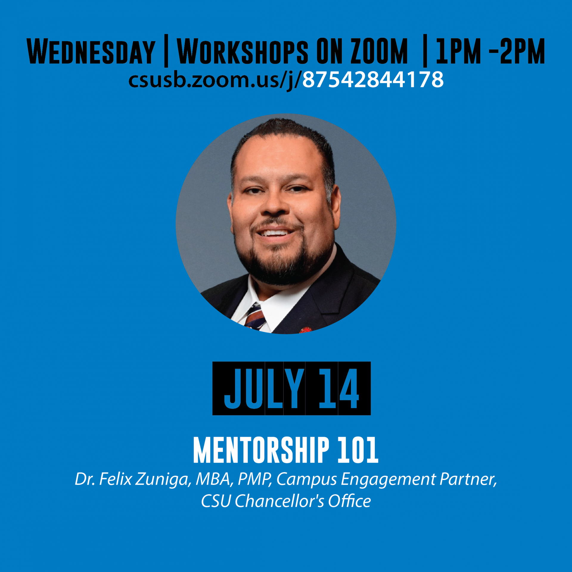 Summer 2021 Launch Your Career Workshop Series: Mentorship 101