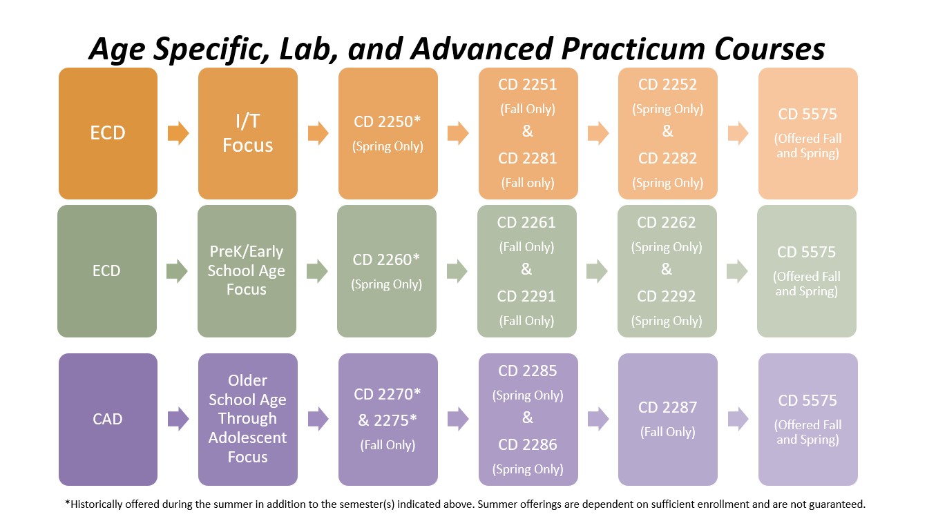 Age Specific, Lab, and Advanced Practicum Courses