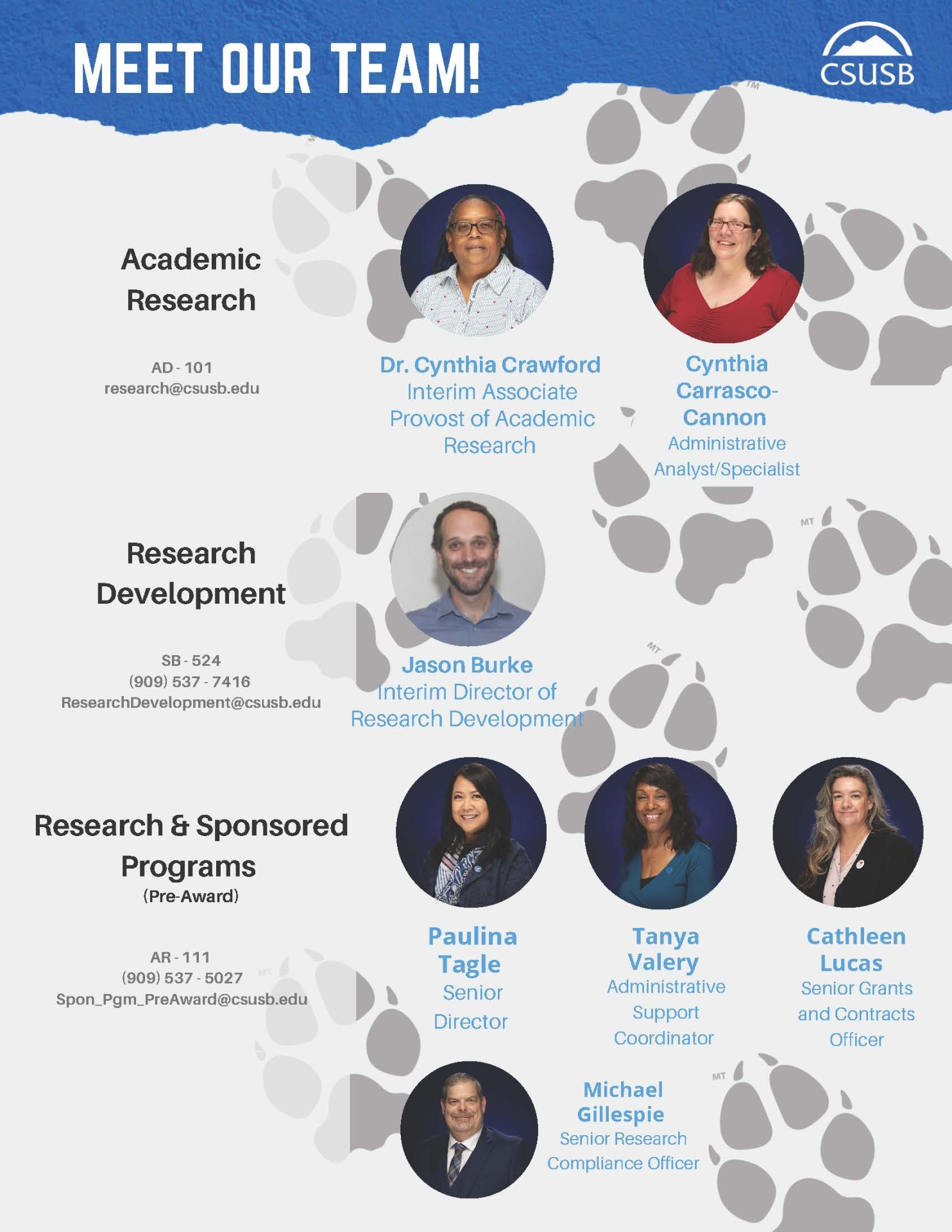 Meet The Team Flyer pg.1
