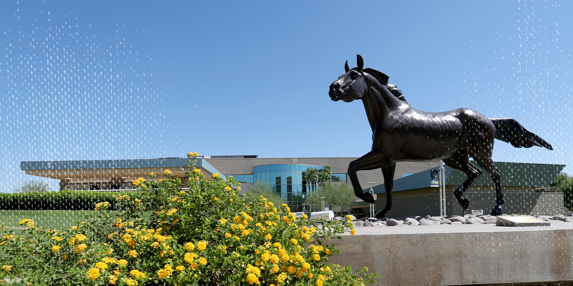 Freedom Horse PDC