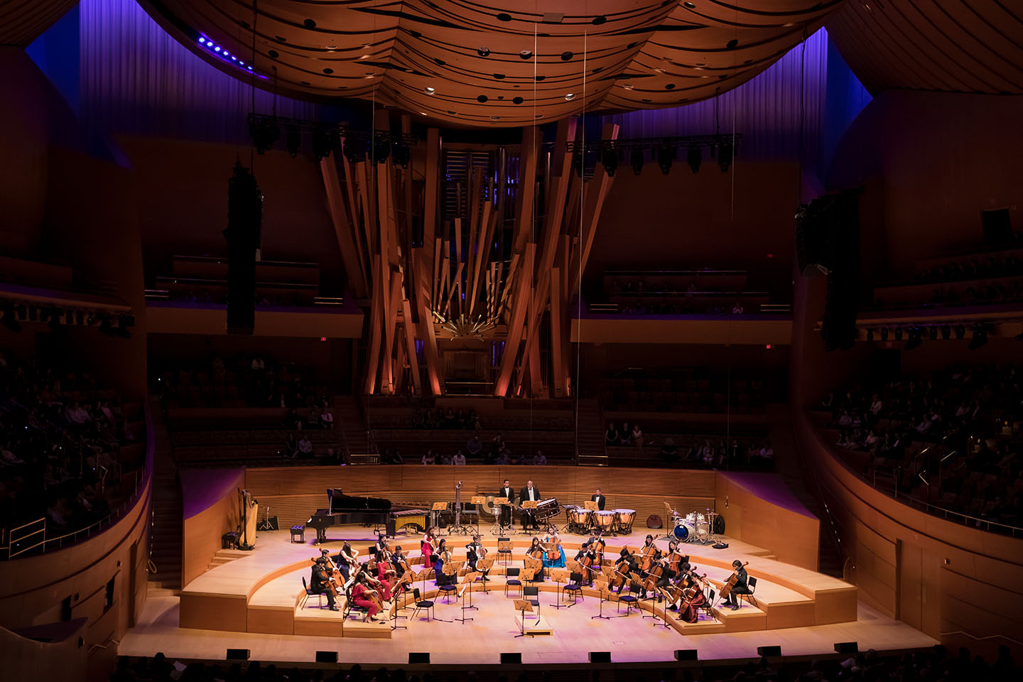 OC County Cello Ensemble