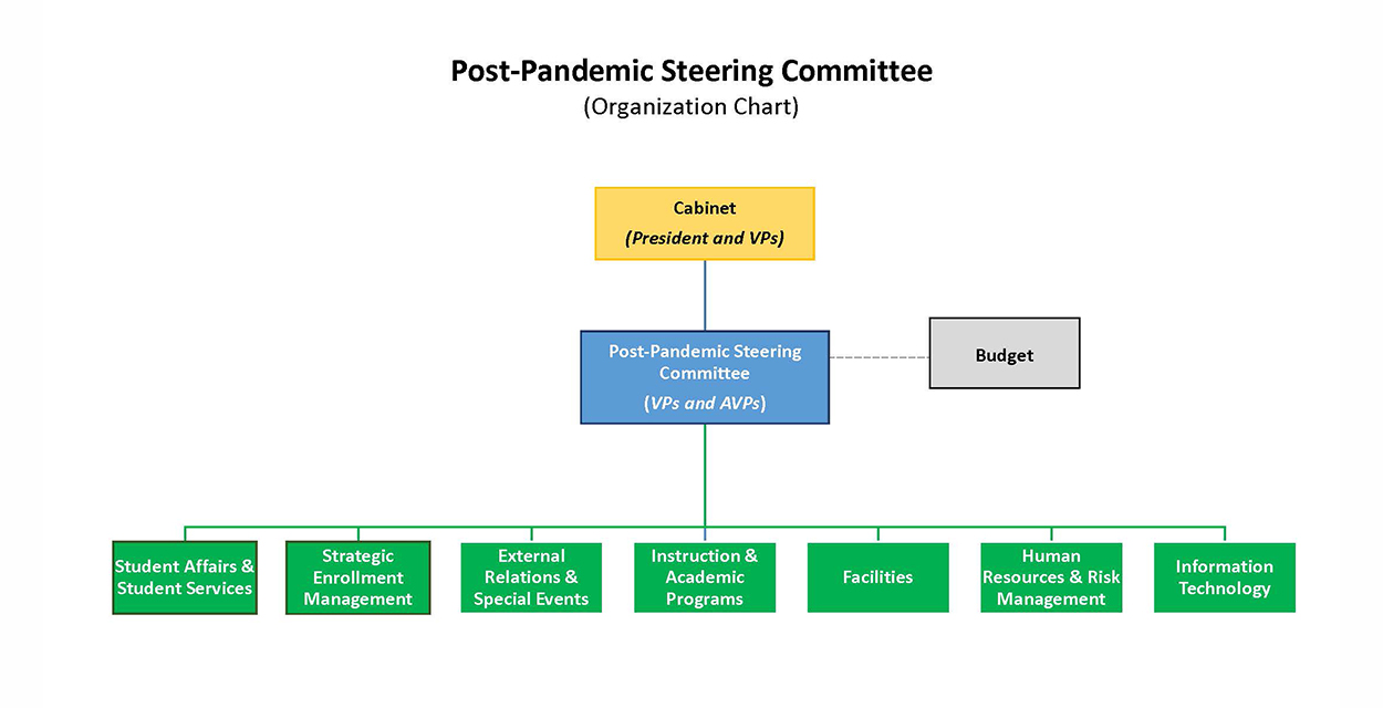Post-pandemic steering committee organizational chart