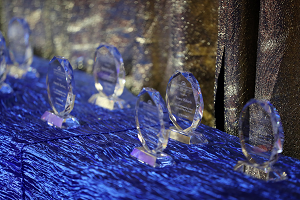 Photo of awards on table