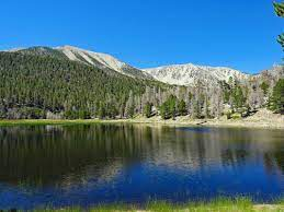 San Bernardino National Forest