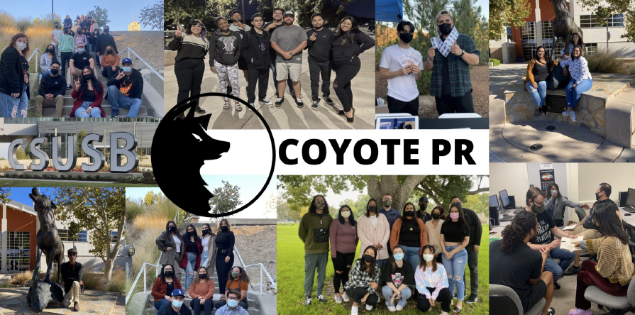 coyote pr collage