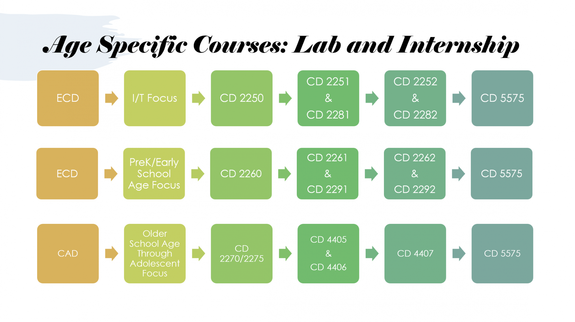 Lab and Internship Courses