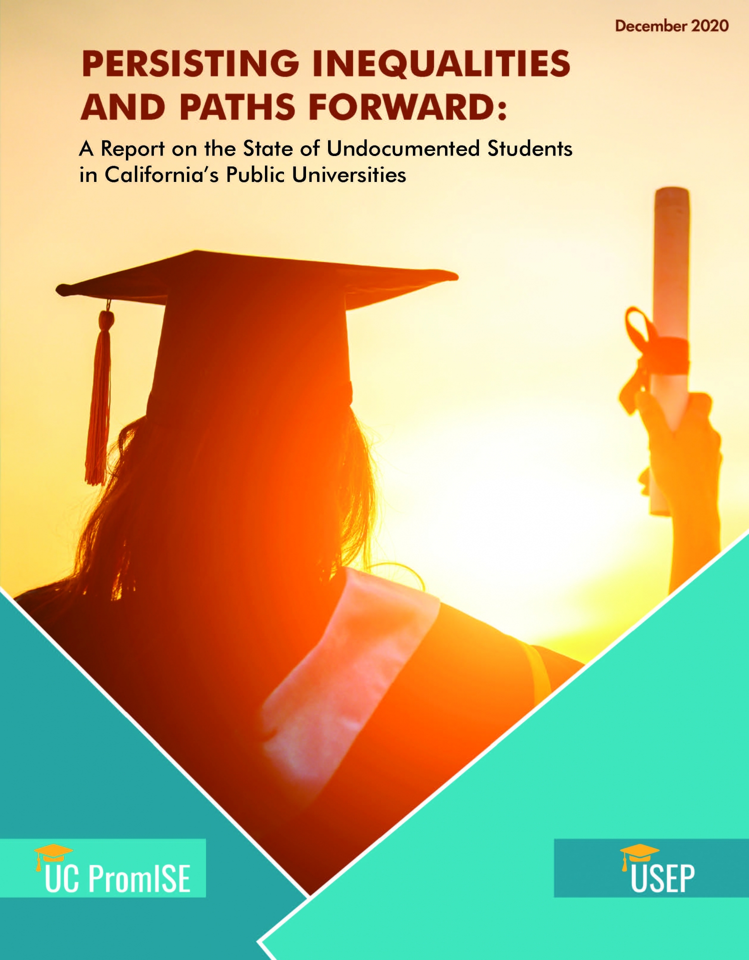 Persisting Inequalities and Paths Forward Report