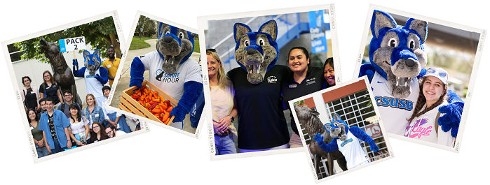 Collage of Cody the Coyote at events.