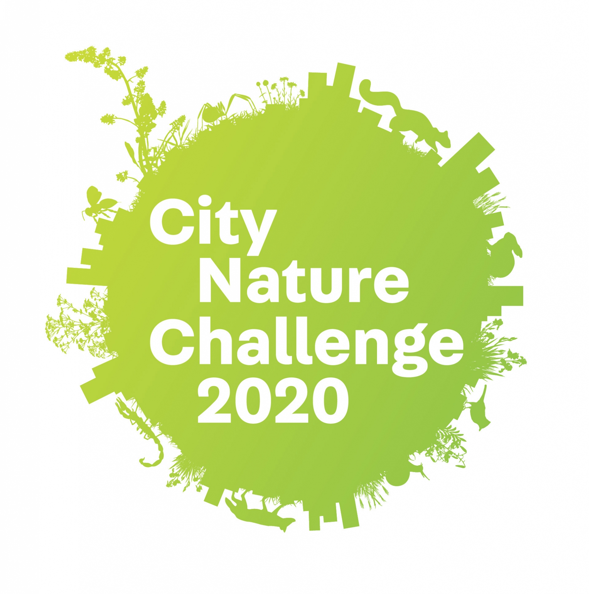 City Nature Challege 2020 logo