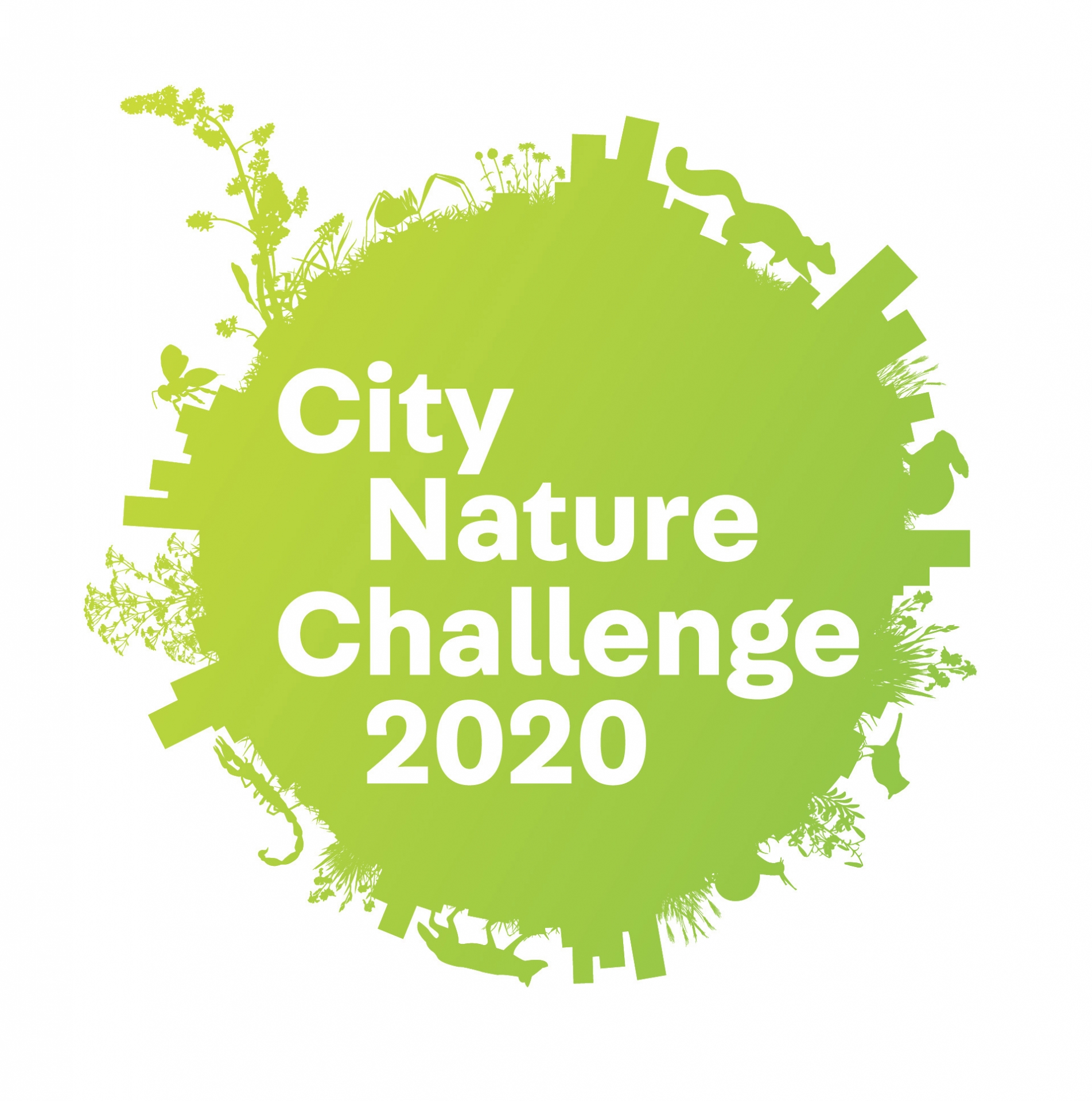 City Nature Challege 2020 logo