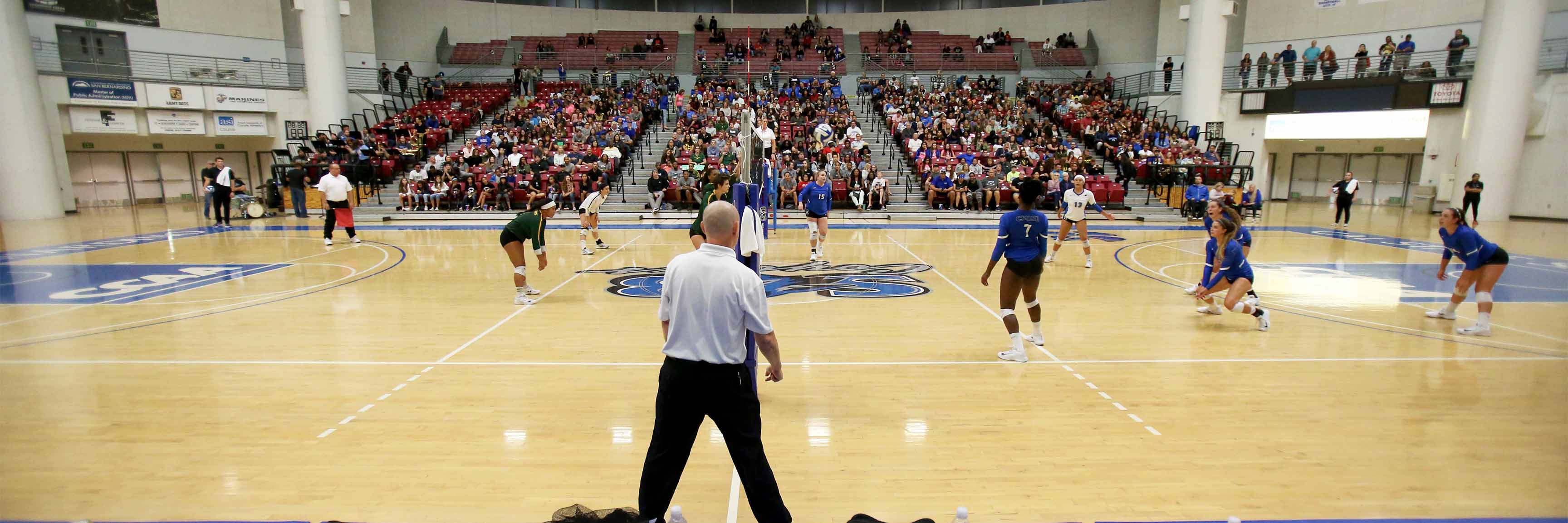 A season best crowd of 852 at Coussoulis Arena watched the women’s volleyball team win its match over regional rival Cal Poly Pomona in an important CCAA game. Photo: Corinne McCurdy/CSUSB