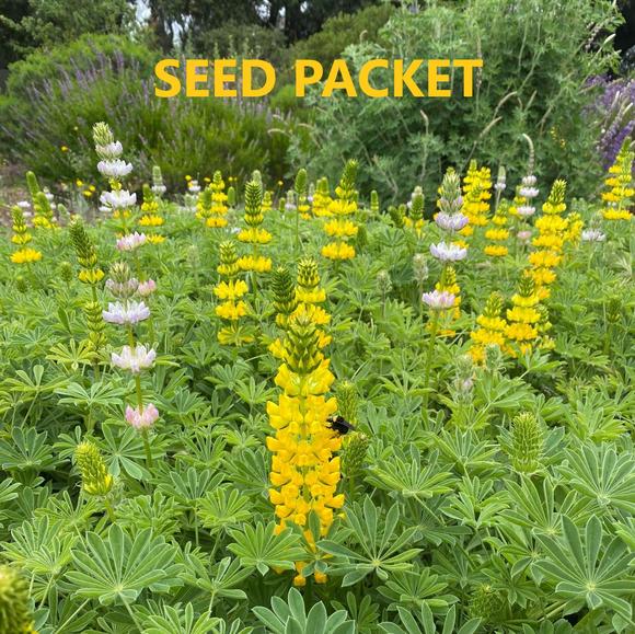 seed packets