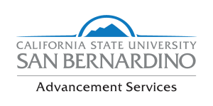 Advancement services