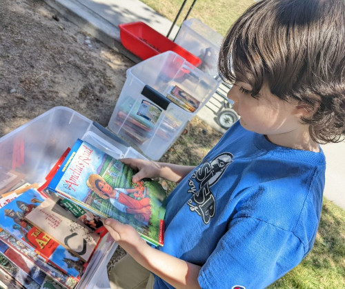 Boy looking at books