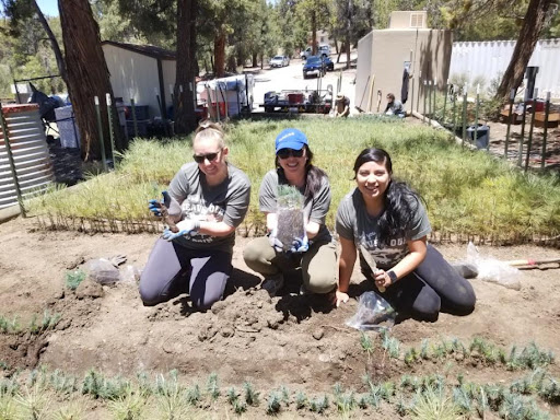 students at a lab garden