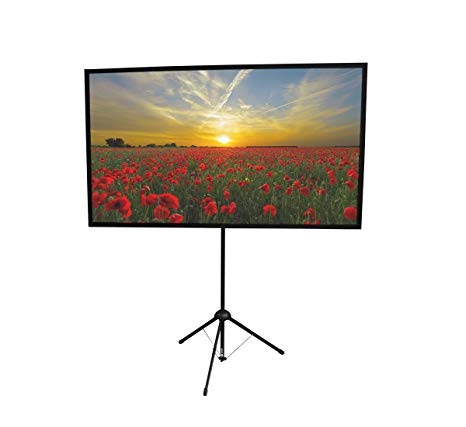 GO-60 Portable Projector Screen