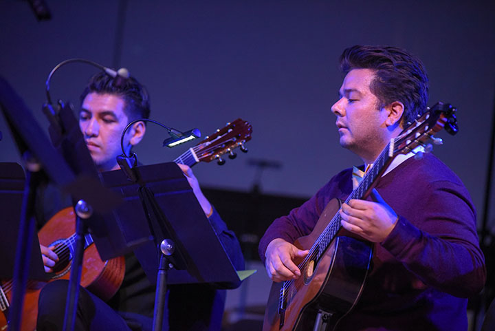 Holiday Gala Guitar