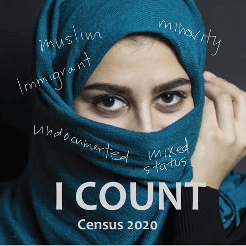 I Count Images for Census 2020