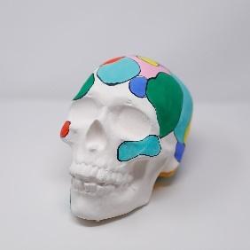 white decorated calavera
