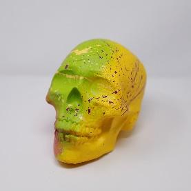 green and yellow decorated calavera