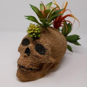 decorated calavera