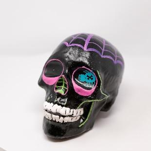 decorated calavera with web on head