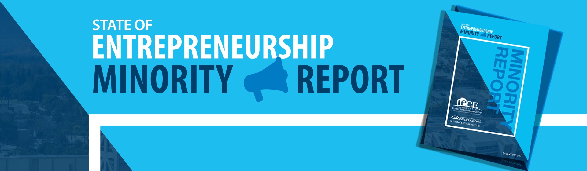 IECE State of Entrepreneurship Minority Report graphic