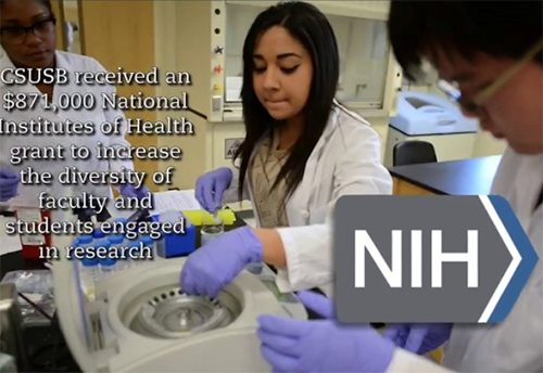 NIH CSUSB Grant